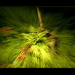 Obrázky z cest - Krkonoše