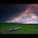 Irská nálada <SUP>TM</SUP>