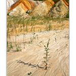 Yellowstone na Moravě II :o))