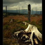 Zdevastované Krakonošovo