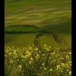 Z Oblíku trochu jinak