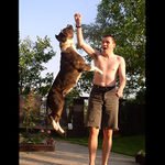 Za kus keksu až ku hviezdam...