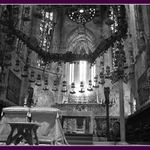 ..sme len zrnká na poli sveta