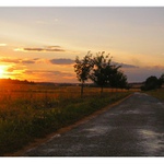 ranni pozdrav pro vendy