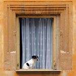 ...když zrovna nehledá na seznamu...