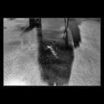 autoportrét s žirafama