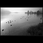 Ranní Pillersee III. ...  ...aneb úprk ze záběru.