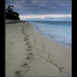 Lost in paradise II.