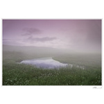 ...Za mlhou hustou,že by se dala krájet...