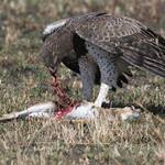 ....bez komentáře....