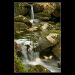 - Medvědí potok -<BR>