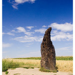 Zkamenělý pastýř