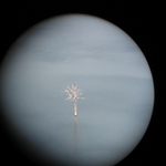 Neptun