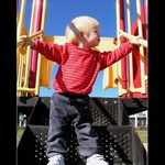 Mimikry slečny T (III)