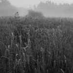 ...společenství...