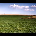 ... posedobudka ll. ...