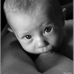 Nedam ani za fotak...