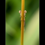 ...to jsi zase Ty?.....