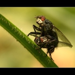 ...dej ty pracky ze mě...