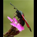 ...sosáčkama sosáme...