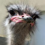 Tak si mě teda vyfoť...