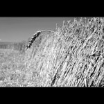 Proti všem
