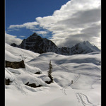 Tupper glacier (Roger pass)