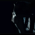 our life will never end