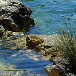 zátiší na řece Krka