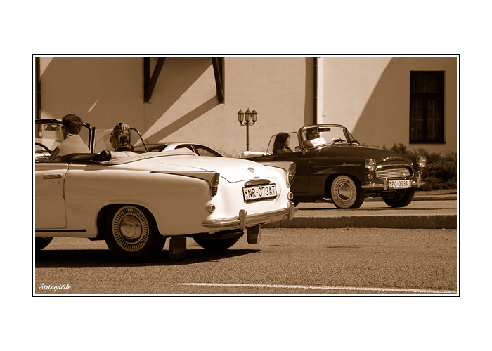 <B><U>... cecilky ... </B></U>