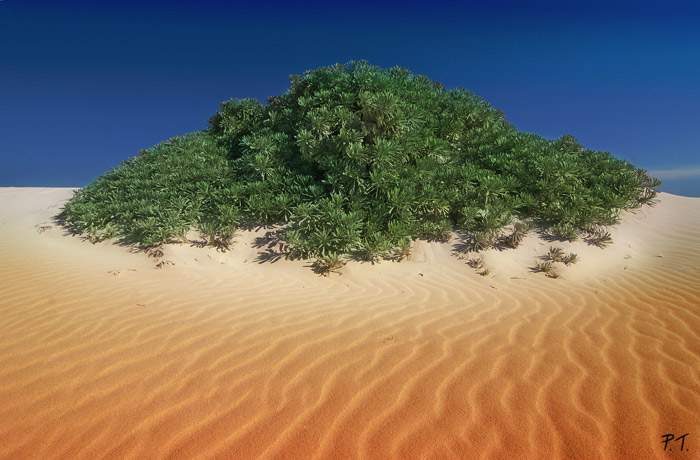Green Island