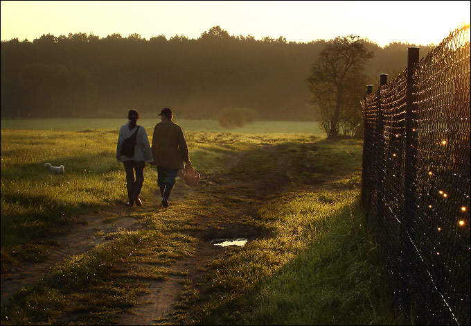 ...a berte jen hribky...