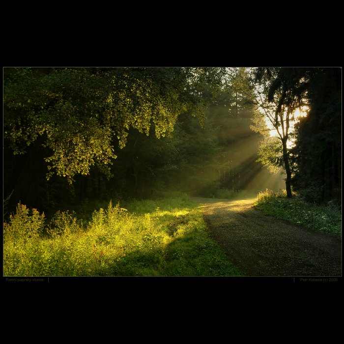 Ranní paprsky slunce