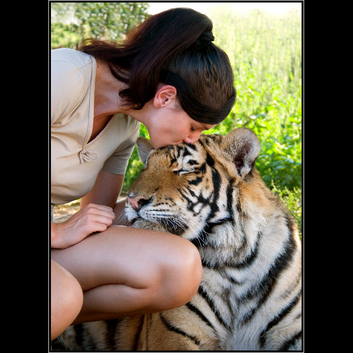 * Dotyk divočiny *<br>Katka a tiger