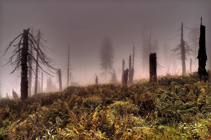 -Krkonoše-