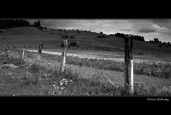old fence