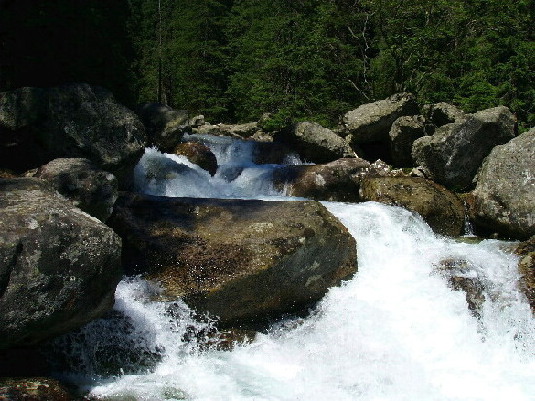 tatranska bystrina
