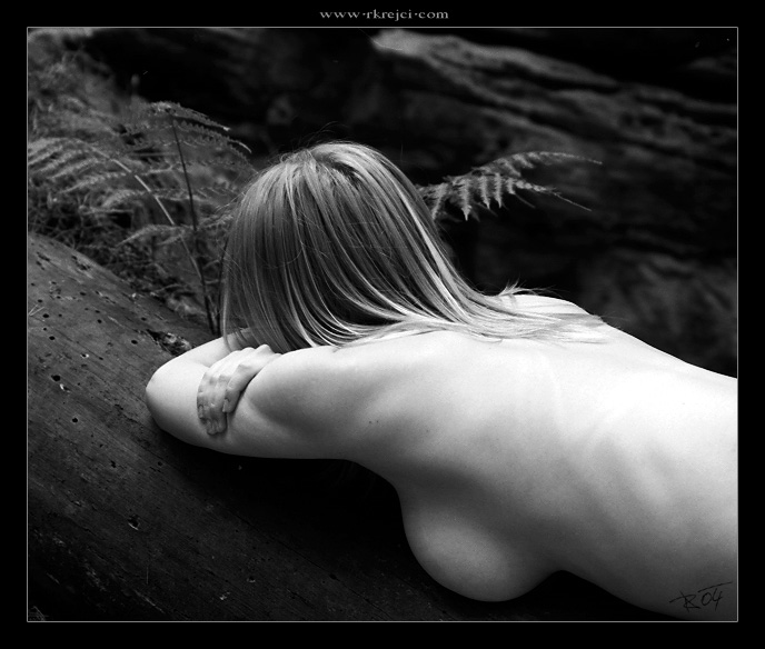 Lesní meditace ....