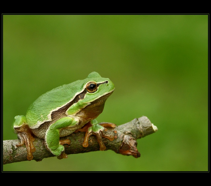 To jsi přehnal, že bych měla zhubnout !