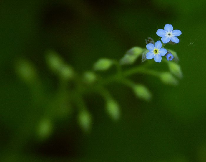 Tak jde čas. Růst.
