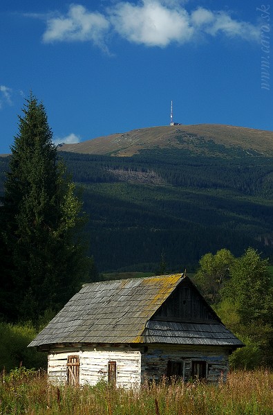 Kráľova hoľa