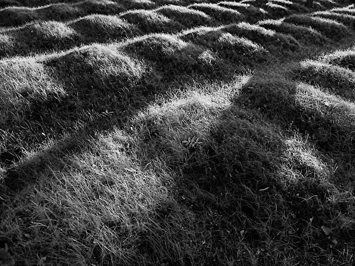 bez návratu , 1914 - 18