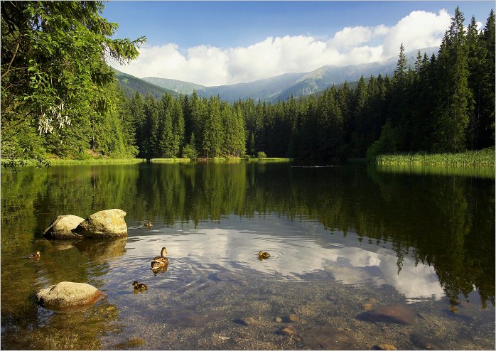 Vrbicke pleso V