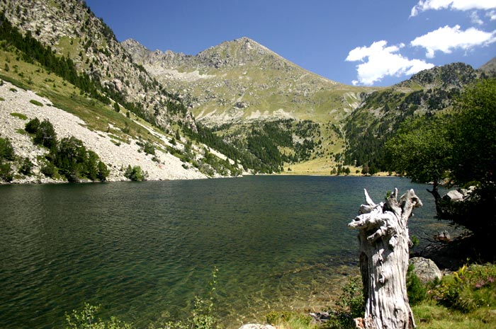u ózera :-)
