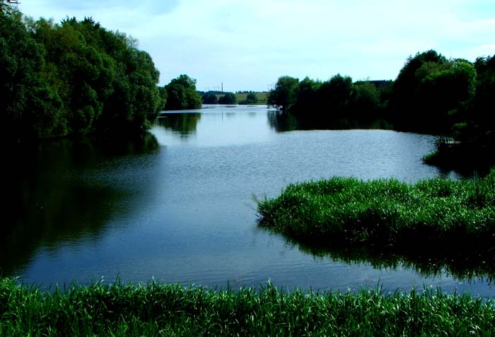 Rybník ve Vlkově