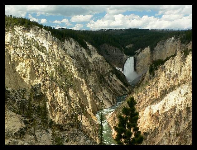 Ty šutry jsou vážně žluté