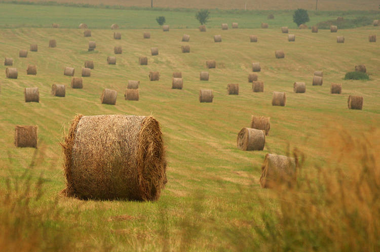 taková banální fotografie