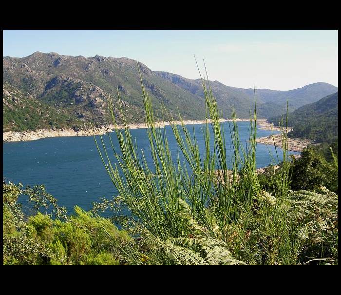 Peneda-Geres II
