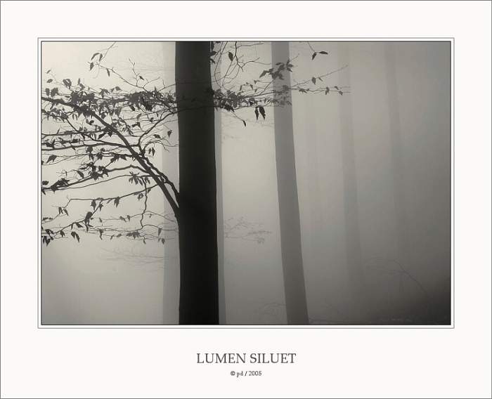 Lumen Siluet