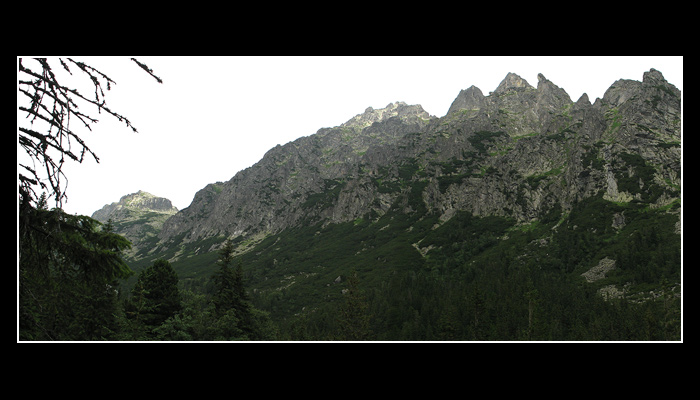 z perspektivy mravca